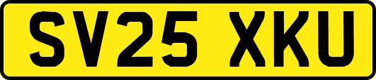 SV25XKU