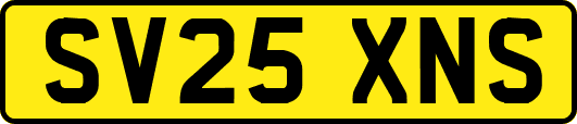 SV25XNS