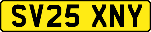 SV25XNY