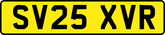 SV25XVR