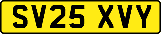 SV25XVY