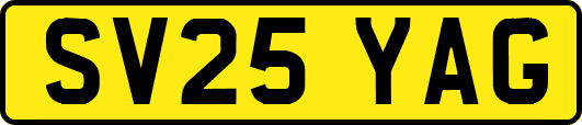 SV25YAG