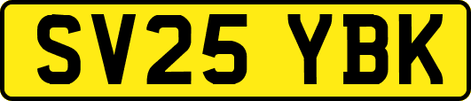 SV25YBK