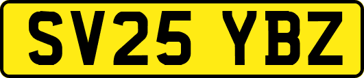 SV25YBZ