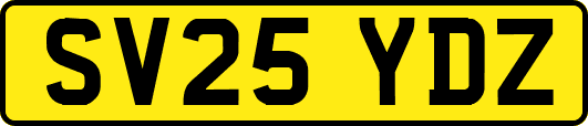 SV25YDZ