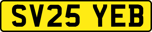 SV25YEB