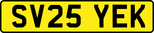 SV25YEK