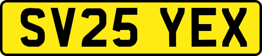 SV25YEX