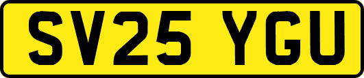 SV25YGU