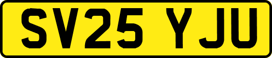 SV25YJU