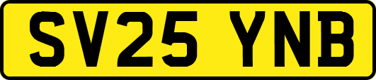 SV25YNB