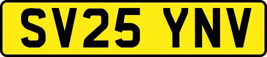 SV25YNV