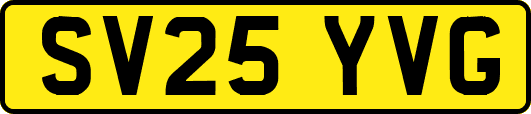 SV25YVG