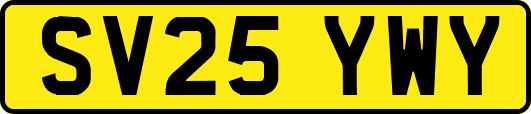 SV25YWY