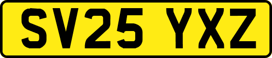 SV25YXZ