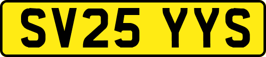 SV25YYS