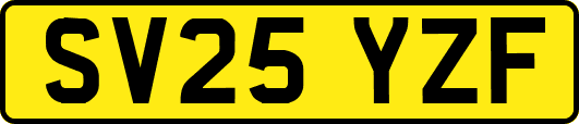 SV25YZF