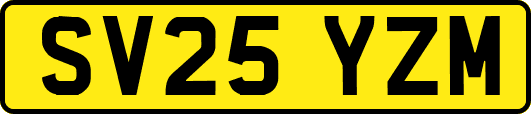 SV25YZM