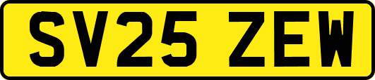 SV25ZEW