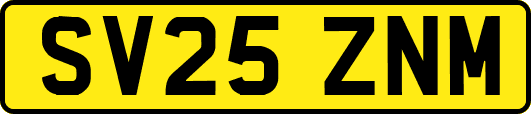 SV25ZNM