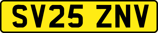 SV25ZNV