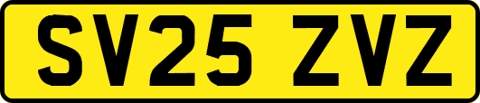 SV25ZVZ