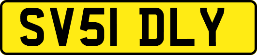 SV51DLY