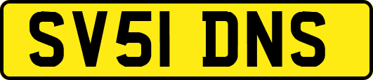 SV51DNS