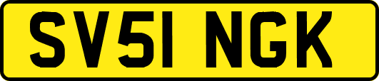 SV51NGK