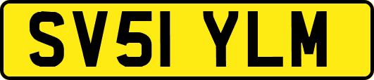 SV51YLM