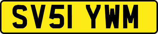 SV51YWM