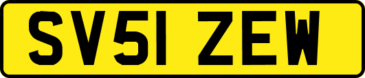 SV51ZEW