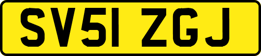 SV51ZGJ