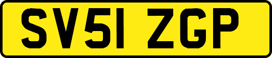 SV51ZGP