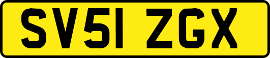 SV51ZGX