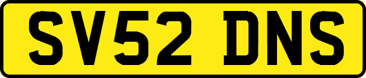 SV52DNS