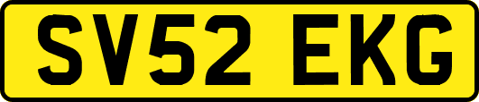 SV52EKG