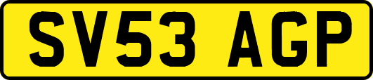 SV53AGP
