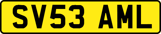 SV53AML