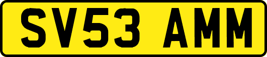 SV53AMM
