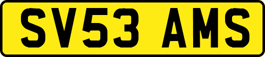 SV53AMS