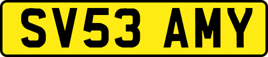 SV53AMY