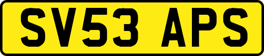 SV53APS