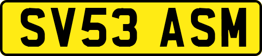 SV53ASM