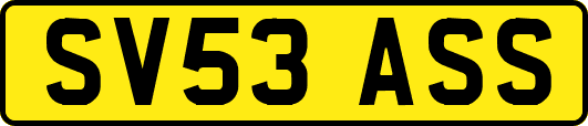 SV53ASS