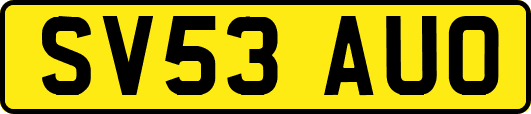 SV53AUO