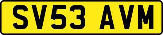 SV53AVM