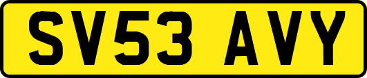 SV53AVY