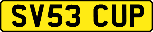 SV53CUP