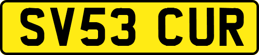 SV53CUR
